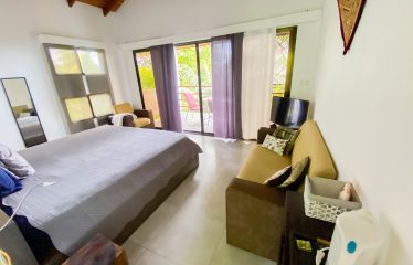 PROPERTY WITH MAIN RESIDENCE AND INDEPENDENT LODGE, IN TRES RÍOS DE OJOCHAL – 3.12 ACRES