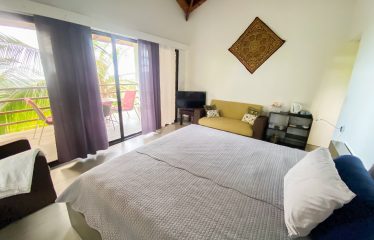 PROPERTY WITH MAIN RESIDENCE AND INDEPENDENT LODGE, IN TRES RÍOS DE OJOCHAL – 3.12 ACRES