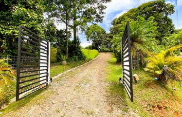 CASA VIOLINES MOUNTAIN PROPERTY WITH THREE BEDROOMS, IN TRES RIOS – 2.08 ACRES