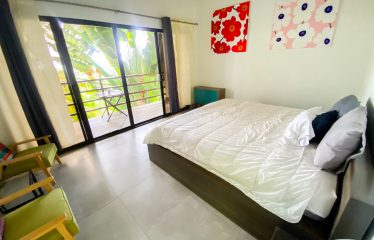 PROPERTY WITH MAIN RESIDENCE AND INDEPENDENT LODGE, IN TRES RÍOS DE OJOCHAL – 3.12 ACRES