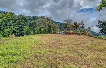 24-HECTARE ESTATE WITH MULTIPLE BUILDING SITES AND PANORAMIC VIEWS NEAR HATILLO AND DOMINICAL
