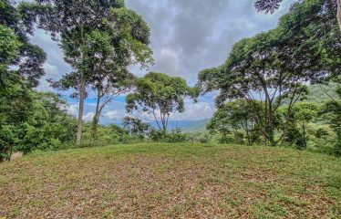 24-HECTARE ESTATE WITH MULTIPLE BUILDING SITES AND PANORAMIC VIEWS NEAR HATILLO AND DOMINICAL