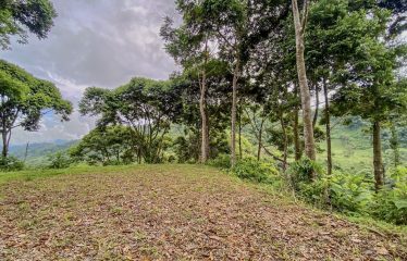 24-HECTARE ESTATE WITH MULTIPLE BUILDING SITES AND PANORAMIC VIEWS NEAR HATILLO AND DOMINICAL