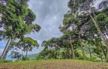 24-HECTARE ESTATE WITH MULTIPLE BUILDING SITES AND PANORAMIC VIEWS NEAR HATILLO AND DOMINICAL