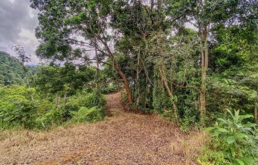24-HECTARE ESTATE WITH MULTIPLE BUILDING SITES AND PANORAMIC VIEWS NEAR HATILLO AND DOMINICAL