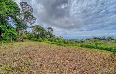 24-HECTARE ESTATE WITH MULTIPLE BUILDING SITES AND PANORAMIC VIEWS NEAR HATILLO AND DOMINICAL