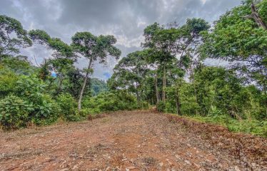 24-HECTARE ESTATE WITH MULTIPLE BUILDING SITES AND PANORAMIC VIEWS NEAR HATILLO AND DOMINICAL