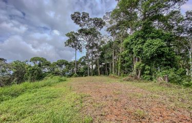 24-HECTARE ESTATE WITH MULTIPLE BUILDING SITES AND PANORAMIC VIEWS NEAR HATILLO AND DOMINICAL