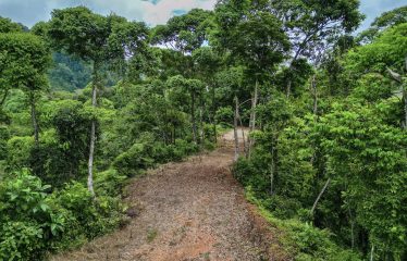 24-HECTARE ESTATE WITH MULTIPLE BUILDING SITES AND PANORAMIC VIEWS NEAR HATILLO AND DOMINICAL
