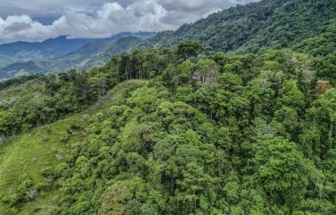 24-HECTARE ESTATE WITH MULTIPLE BUILDING SITES AND PANORAMIC VIEWS NEAR HATILLO AND DOMINICAL