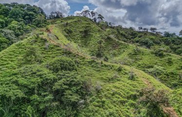 24-HECTARE ESTATE WITH MULTIPLE BUILDING SITES AND PANORAMIC VIEWS NEAR HATILLO AND DOMINICAL