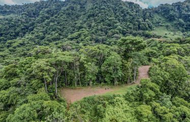 24-HECTARE ESTATE WITH MULTIPLE BUILDING SITES AND PANORAMIC VIEWS NEAR HATILLO AND DOMINICAL
