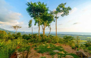 LUXURY CONTEMPORARY RESIDENCE WITH PANORAMIC OCEAN VIEWS MANUEL ANTONIO – 1.10 ACRES