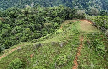 24-HECTARE ESTATE WITH MULTIPLE BUILDING SITES AND PANORAMIC VIEWS NEAR HATILLO AND DOMINICAL