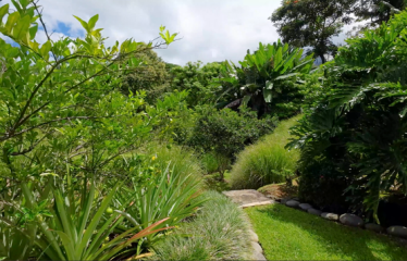 PROPERTY WITH THREE BEDROOMS AND FRONT OCEAN VIEWS, IN OJOCHAL – 0.63 ACRES
