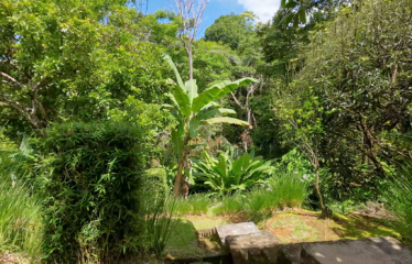 PROPERTY WITH THREE BEDROOMS AND FRONT OCEAN VIEWS, IN OJOCHAL – 0.63 ACRES