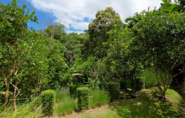 PROPERTY WITH THREE BEDROOMS AND FRONT OCEAN VIEWS, IN OJOCHAL – 0.63 ACRES