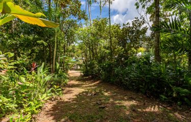 PROPERTY WITH FOUR BEDROOMS AND PARTIAL OCEAN VIEWS, IN JARDINES DEL MORETE UVITA – 2.2 ACRES