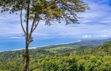 LUXURY ESTATE WITH PANORAMIC OCEAN VIEWS IN LAGUNAS, DOMINICAL – 16 ACRES