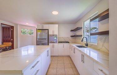 LUXURY ESTATE WITH PANORAMIC OCEAN VIEWS IN LAGUNAS, DOMINICAL – 16 ACRES