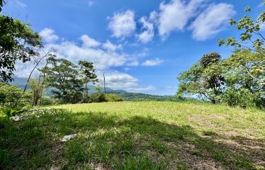 PROPERTY WITH PANORAMIC VIEWS OF THE OCEAN AND THE WHALE’S TAIL IN TERRAZAS DE UVITA.