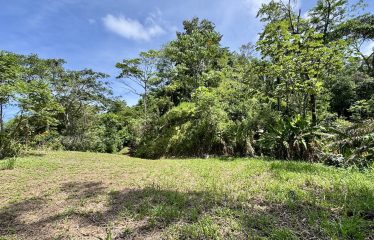 PROPERTY WITH PANORAMIC VIEWS OF THE OCEAN AND THE WHALE’S TAIL IN TERRAZAS DE UVITA.