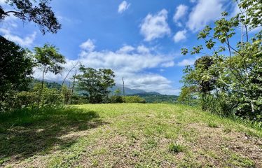 PROPERTY WITH PANORAMIC VIEWS OF THE OCEAN AND THE WHALE’S TAIL IN TERRAZAS DE UVITA.