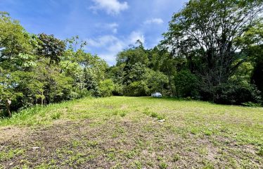 PROPERTY WITH PANORAMIC VIEWS OF THE OCEAN AND THE WHALE’S TAIL IN TERRAZAS DE UVITA.
