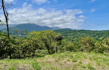 PROPERTY WITH PANORAMIC VIEWS OF THE OCEAN AND THE WHALE’S TAIL IN TERRAZAS DE UVITA.
