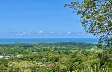 PROPERTY WITH PANORAMIC VIEWS OF THE OCEAN AND THE WHALE’S TAIL IN TERRAZAS DE UVITA.