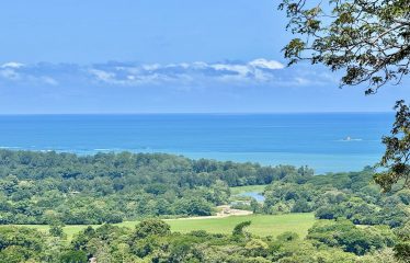 PROPERTY WITH PANORAMIC VIEWS OF THE OCEAN AND THE WHALE’S TAIL IN TERRAZAS DE UVITA.