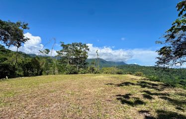 PROPERTY WITH PANORAMIC VIEWS OF THE OCEAN AND THE WHALE’S TAIL IN TERRAZAS DE UVITA.
