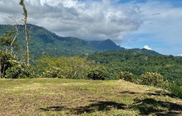 PROPERTY WITH PANORAMIC VIEWS OF THE OCEAN AND THE WHALE’S TAIL IN TERRAZAS DE UVITA.