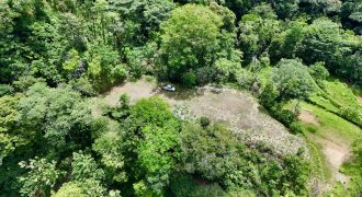 PROPERTY WITH PANORAMIC VIEWS OF THE OCEAN AND THE WHALE’S TAIL IN TERRAZAS DE UVITA.