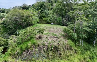 PROPERTY WITH PANORAMIC VIEWS OF THE OCEAN AND THE WHALE’S TAIL IN TERRAZAS DE UVITA.