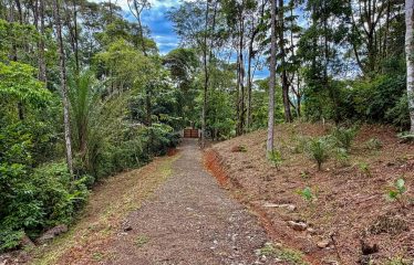 MOUNTAIN BUILDING PROPERTY WITH PANORAMIC OCEAN VIEWS, IN LAGUNAS DE BARU – 1.3 ACRES