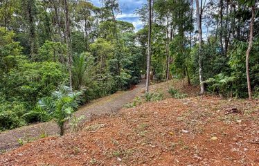 MOUNTAIN BUILDING PROPERTY WITH PANORAMIC OCEAN VIEWS, IN LAGUNAS DE BARU – 1.3 ACRES