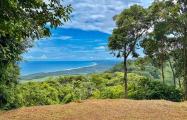 MOUNTAIN BUILDING PROPERTY WITH PANORAMIC OCEAN VIEWS, IN LAGUNAS DE BARU – 1.3 ACRES