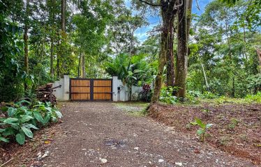 MOUNTAIN BUILDING PROPERTY WITH PANORAMIC OCEAN VIEWS, IN LAGUNAS DE BARU – 1.3 ACRES