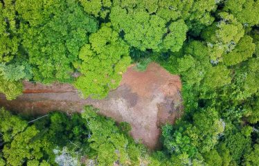 MOUNTAIN BUILDING PROPERTY WITH PANORAMIC OCEAN VIEWS, IN LAGUNAS DE BARU – 1.3 ACRES