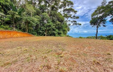 MOUNTAIN BUILDING PROPERTY WITH PANORAMIC OCEAN VIEWS, IN LAGUNAS DE BARU – 1.3 ACRES