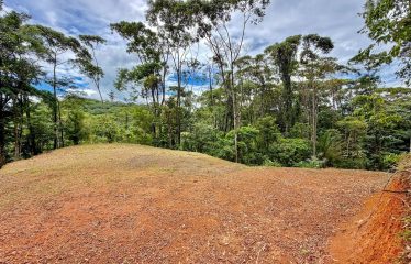 MOUNTAIN BUILDING PROPERTY WITH PANORAMIC OCEAN VIEWS, IN LAGUNAS DE BARU – 1.3 ACRES