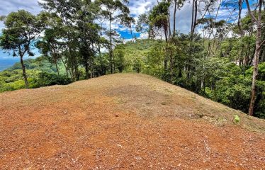 MOUNTAIN BUILDING PROPERTY WITH PANORAMIC OCEAN VIEWS, IN LAGUNAS DE BARU – 1.3 ACRES