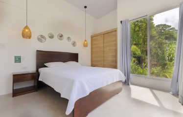 MODERN RESIDENCE WITH COMMERCIAL POTENTIAL STEPS FROM MARINO BALLENA, IN BAHIA BALLENA – 0.31 ACRES