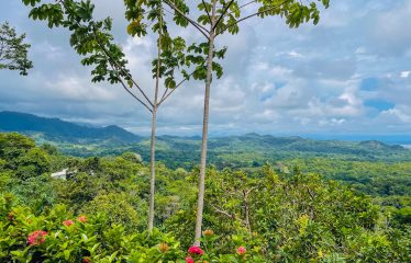 ELEGANT RESIDENCE WITH OCEAN AND SUNSET VIEWS IN THE EXCLUSIVE PHASE 5 OF OJOCHAL – 1.67 ACRES