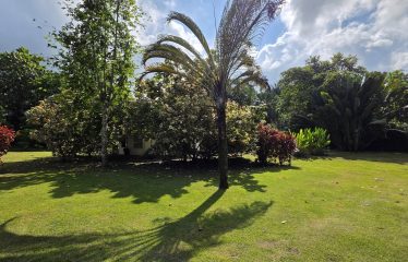 PROPERTY HOUSE WITH POOL ACCESS AND 2 CABINS, IN OJOCHAL – 1.38 ACRES