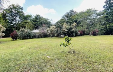 PROPERTY HOUSE WITH POOL ACCESS AND 2 CABINS, IN OJOCHAL – 1.38 ACRES