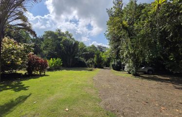 PROPERTY HOUSE WITH POOL ACCESS AND 2 CABINS, IN OJOCHAL – 1.38 ACRES