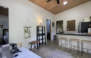 PROPERTY HOUSE WITH POOL ACCESS AND 2 CABINS, IN OJOCHAL – 1.38 ACRES