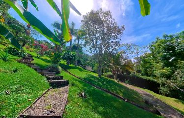 CASA ORQUIDEA – LUXURY HOME WITH OCEAN VIEWS IN GATED COMMUNITY